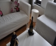 Cazare Apartament Modern One Bedroom Bucuresti